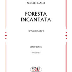 Foresta incantata_Classic guitar 2